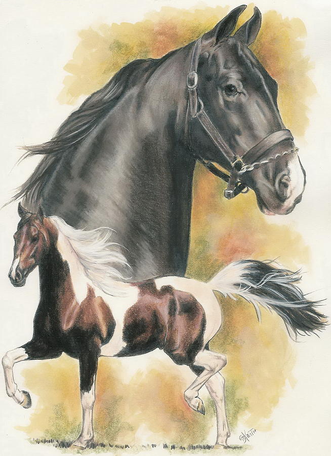 Saddlebred - Barbara Keith